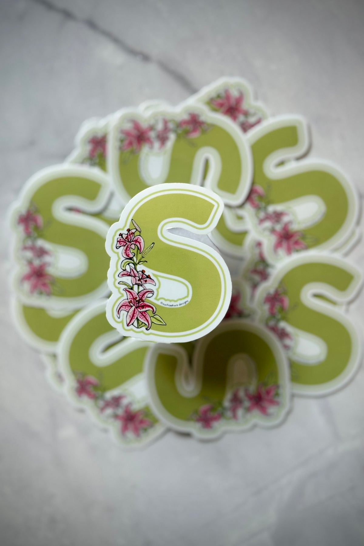 "S" Sticker