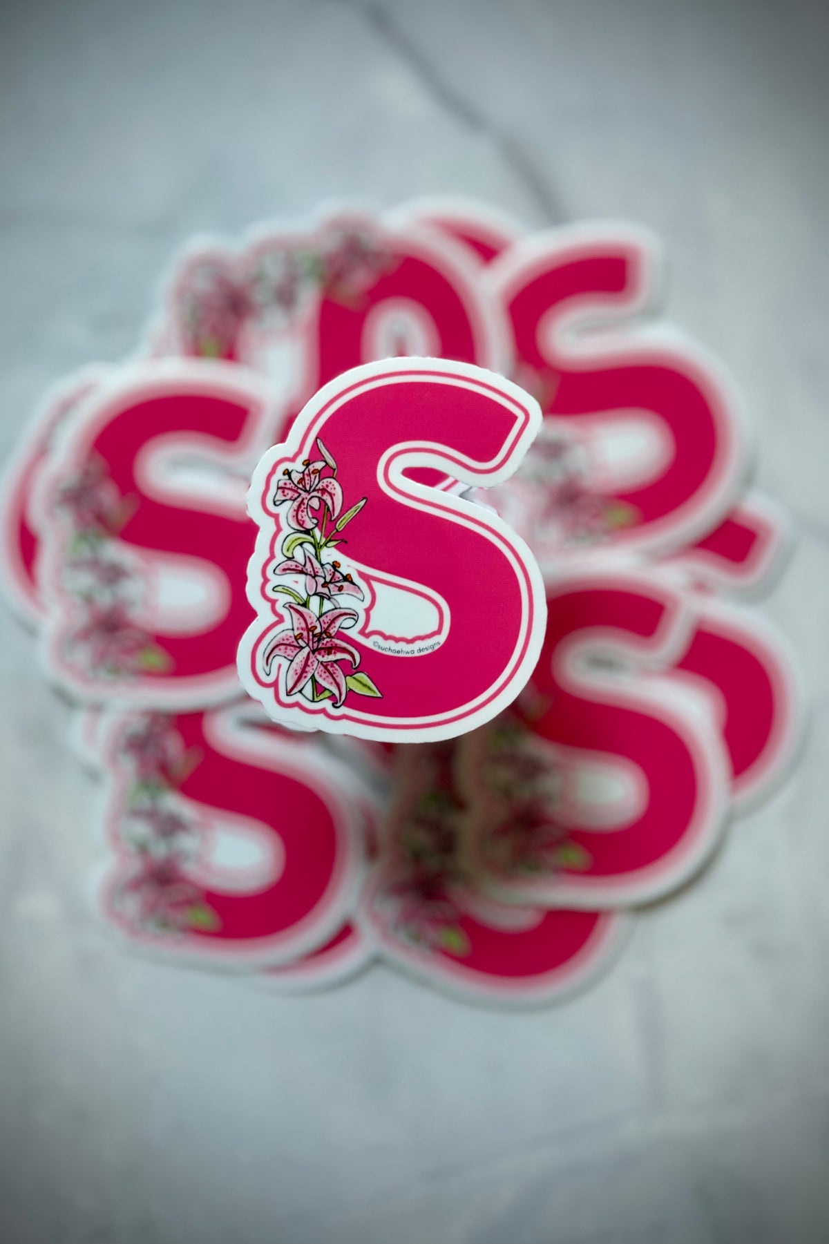 "S" Sticker