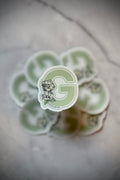 "G" Sticker